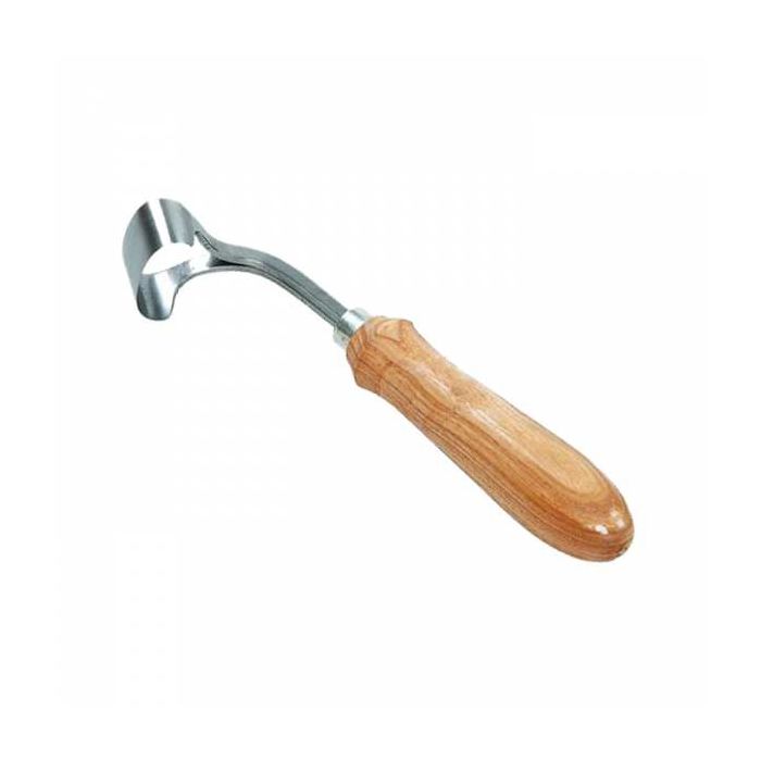 Wood top carving scorp