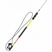 BE 24' Telescoping Pressure Washer Wand
