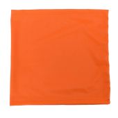 Radians Neck Gaiter - Orange
